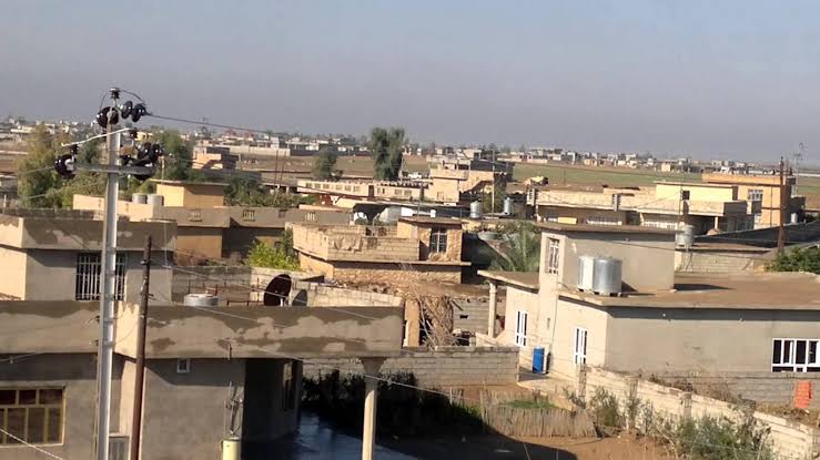 أرشيفية